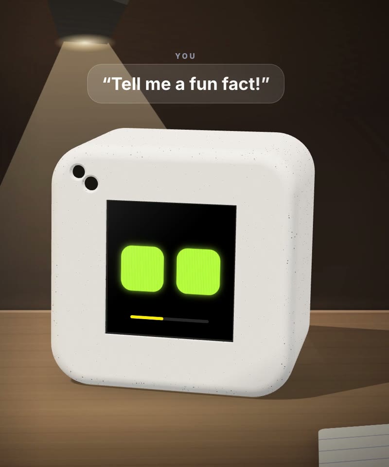 Mayo on a desk under a lamp, listening while someone asks it for a fun fact